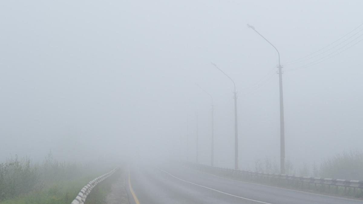 Cod galben de ceață densă în 11 județe și în București. Zonele vizate