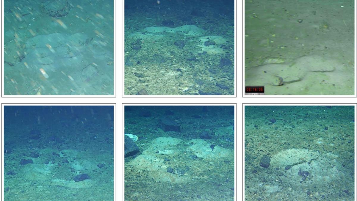 o expeditie care cauta epava endurance a facut o descoperire neasteptata pe fundul marii a fost prima data cand am vazut acea zona