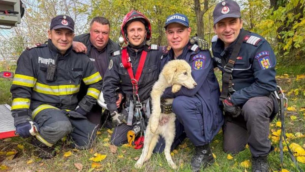 pompierii din tulcea au salvat o catelusa dintr o fantana dezafectata adanca de 15 metri