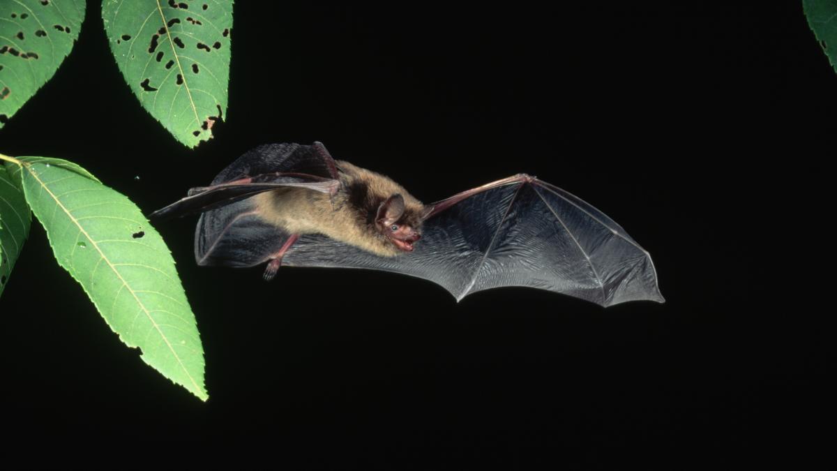 Sursa foto: Getty Images