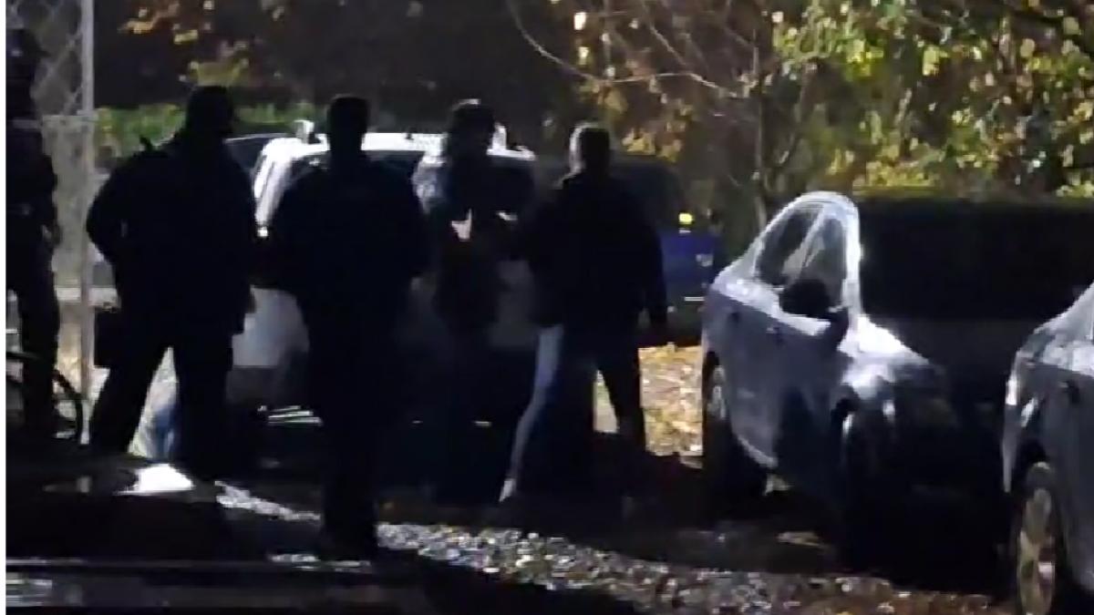 fanel bogos a fost retinut 24 de ore in dosarul in care apare si numele lui ilie bolojan