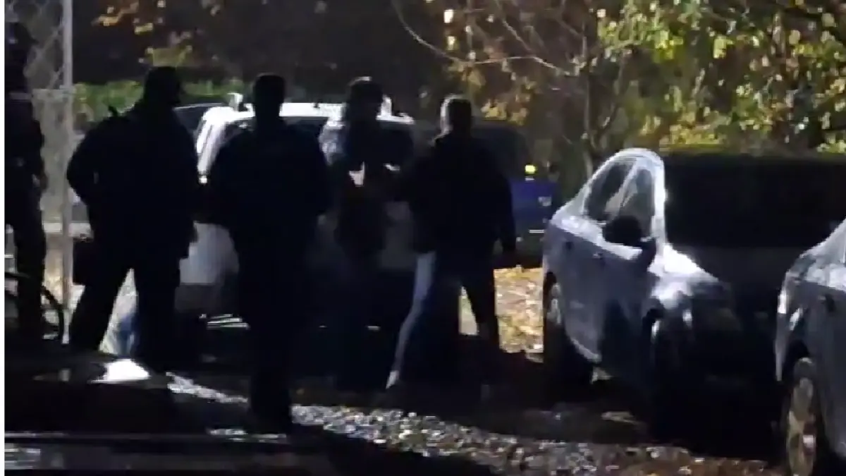 fanel bogos a fost retinut 24 de ore in dosarul in care apare si numele lui ilie bolojan