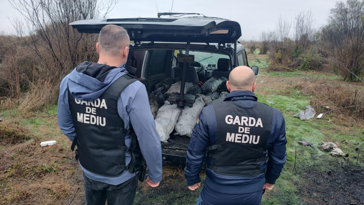 garda de mediu a dat amenzi de peste 100 000 de euro in dambovita diana buzoianu mafia gunoaielor trebuie oprita