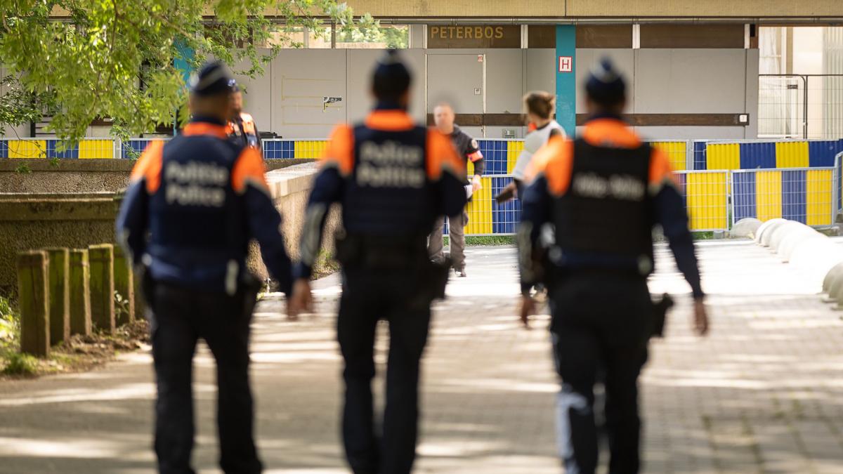 o banda de romani a furat 14 masini noi din portul anvers intr un singur weekend folosind o metoda incredibila