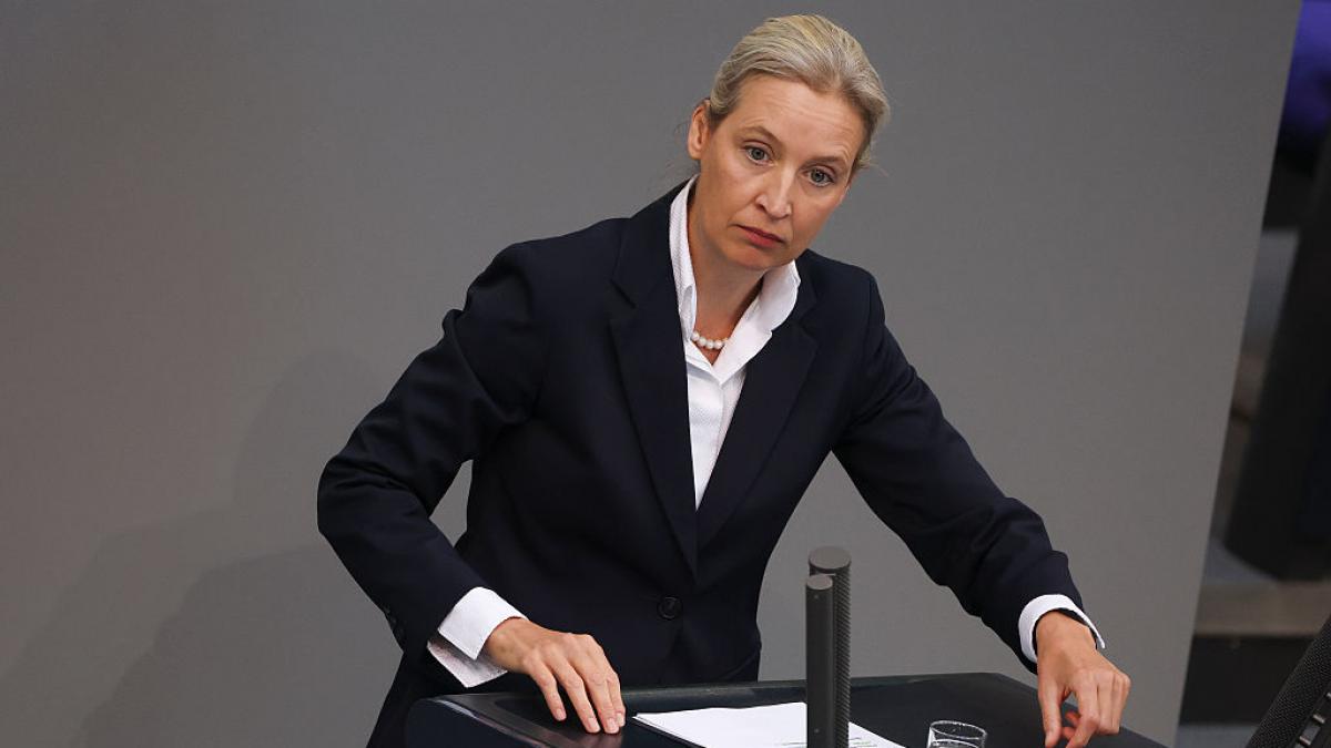 partidul extremist afd este acuzat oficial in bundestag ca adaposteste o celula pro rusa in interiorul sau