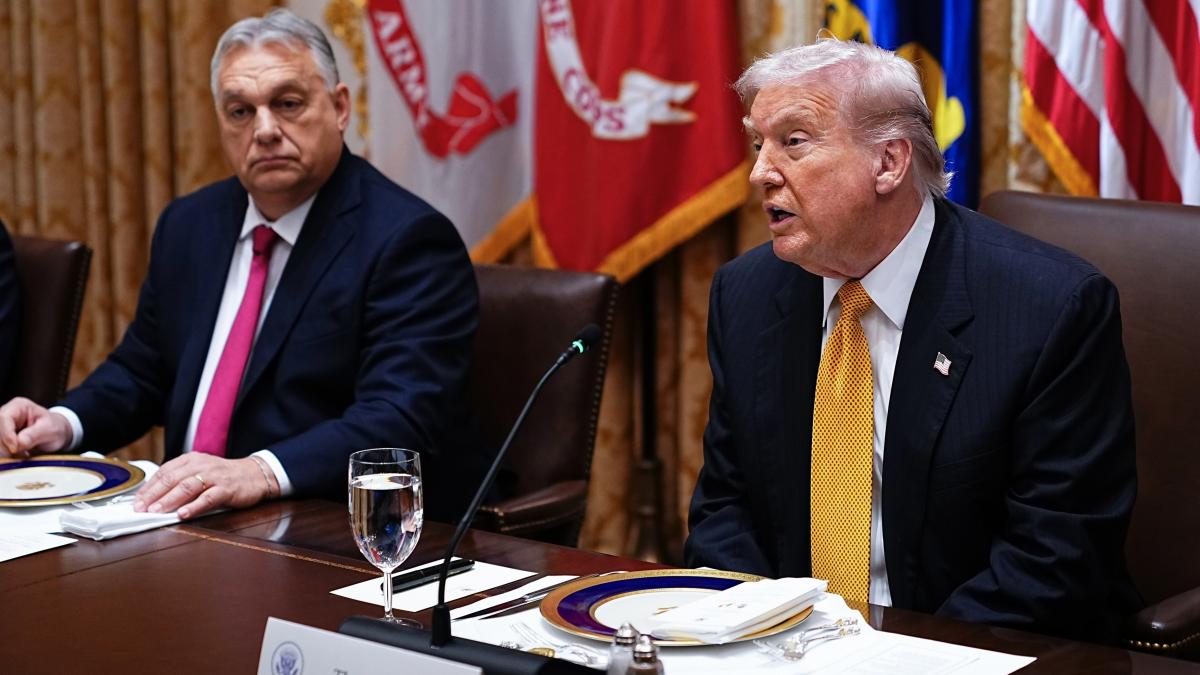 trump intrebat de retragerea brigazii de la kogalniceanu imi plac mult romanii sunt un popor grozav doar mai mutam niste trupe