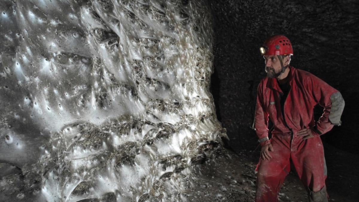 un cercetator roman a descoperit o panza de paianjen de 106 metri patrati in pestera sulfuroasa ar putea fi cea mai mare din lume