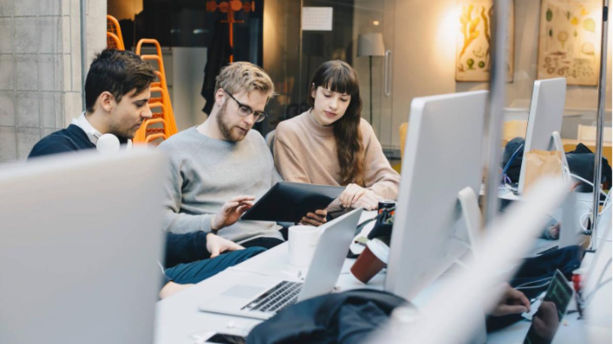 un gigant in tehnologie vrea sa angajeze absolventi de liceu fara facultate unul mi a spus ca n a luat niciodata notite