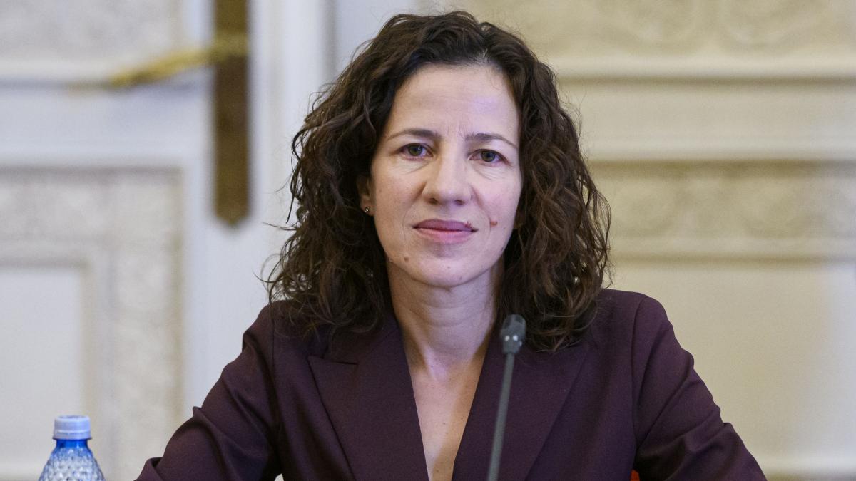 roxana manzatu cjue adopta o decizie in favoarea celor cu salarii mici