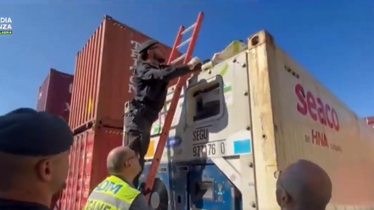 captura de droguri in Italia