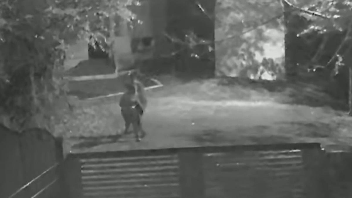 momentul in care mihaela a fost injunghiata mortal de fostul sot pe strada imaginile au fost surprinse de camerele video