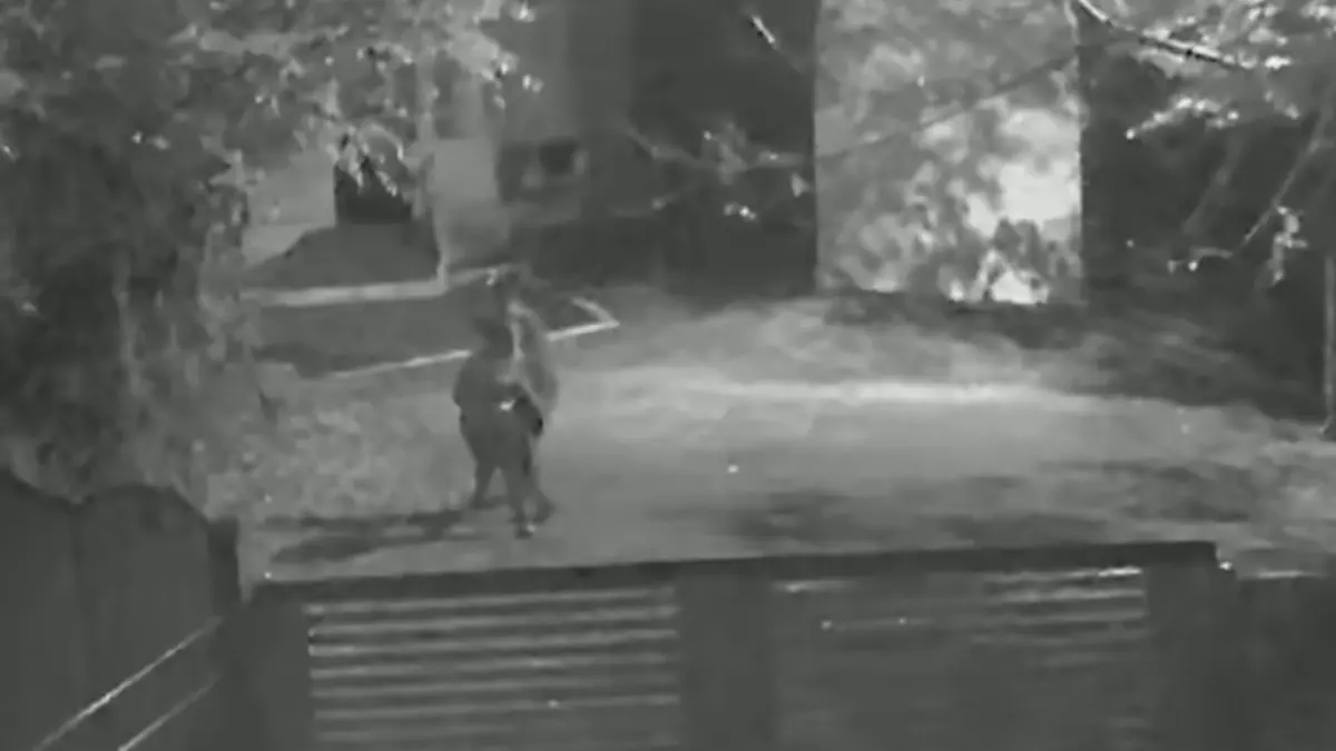 momentul in care mihaela a fost injunghiata mortal de fostul sot pe strada imaginile au fost surprinse de camerele video