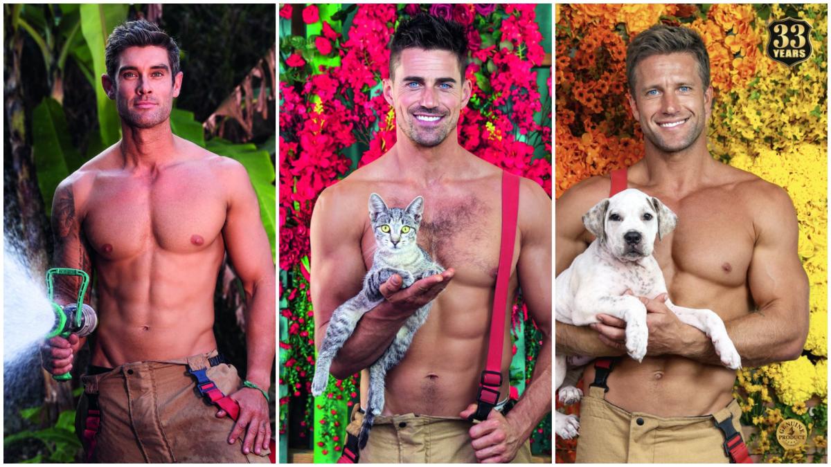 pompierii australieni si au dat jos din nou camasile si au pozat cu pisicute si catelusi in brate pentru o cauza nobila