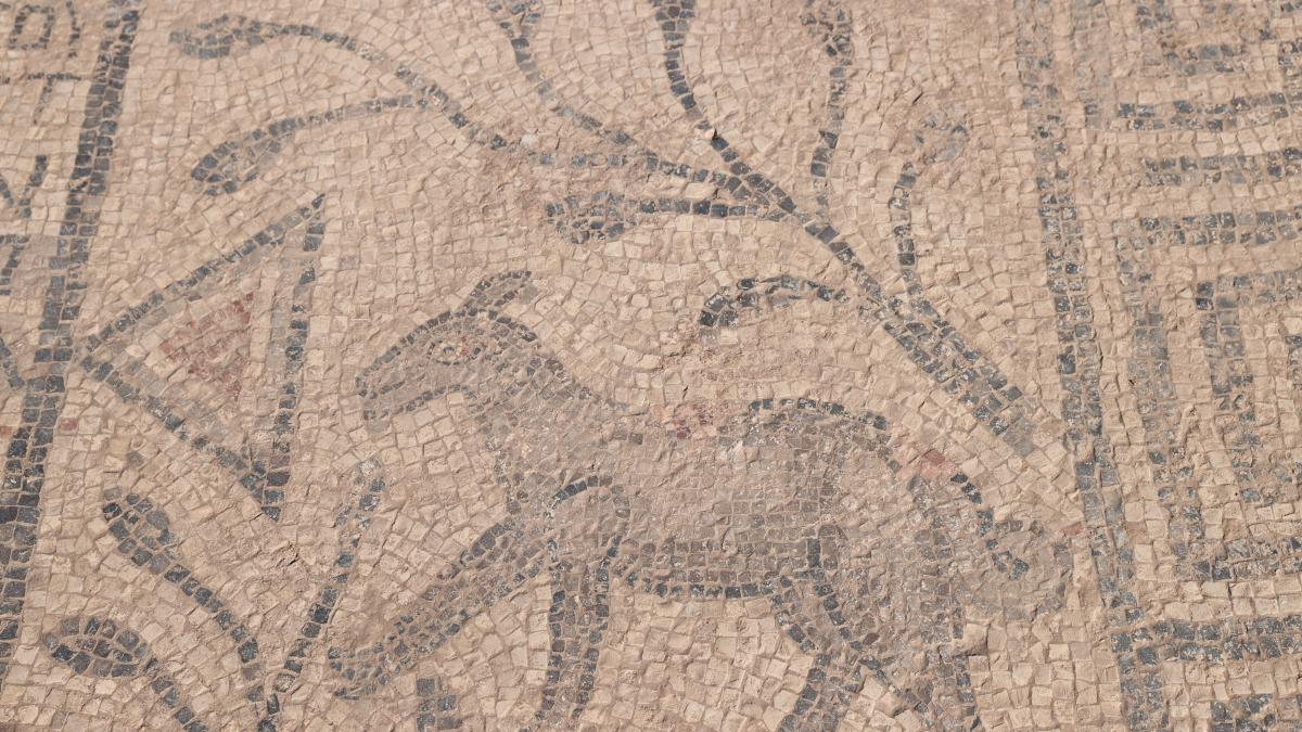 turcii au descoperit un mozaic crestin vechi de 1 500 de ani unde s ar fi nascut avraam arheologii au gasit acolo si trei morminte