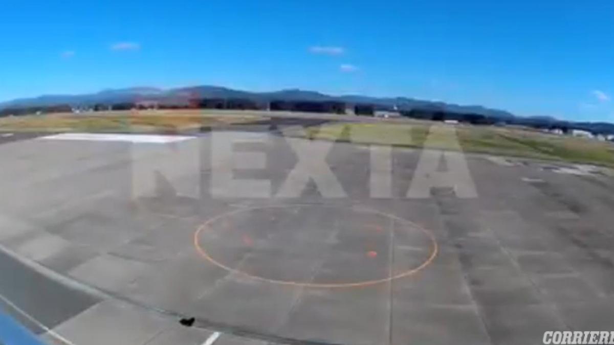 un urs a blocat un aeroport din japonia dupa ce a intrat pe pista chiar cand ateriza un avion
