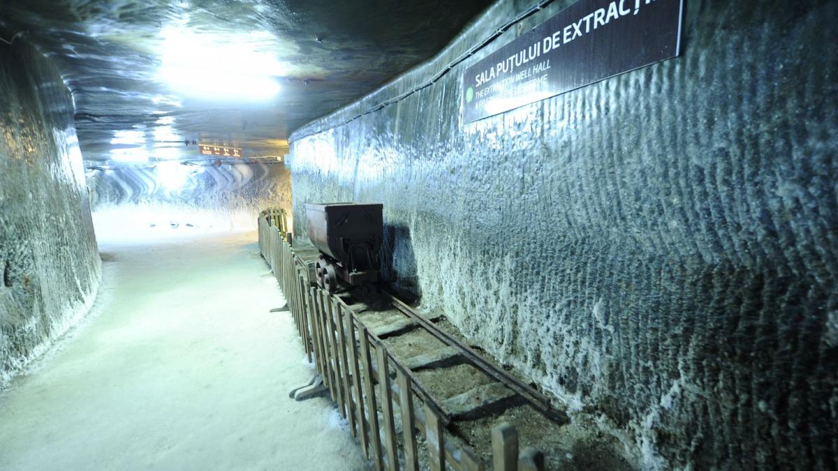 terapiile de la salina turda prezentate la longevity expo forum beneficii remarcabile pentru sanatate si longevitate