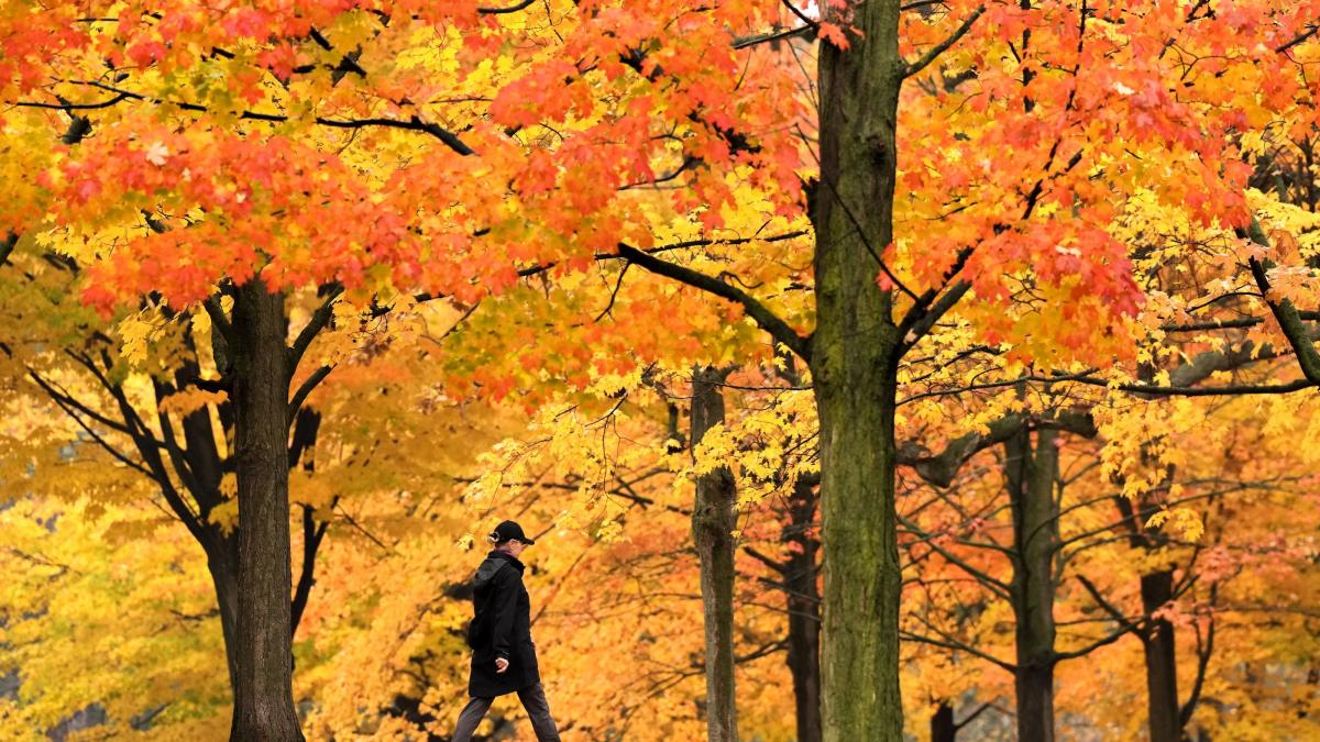 fenomen meteo rar peste romania la munte e mult mai cald decat in restul tarii diferenta de temperatura de pana la 12 grade