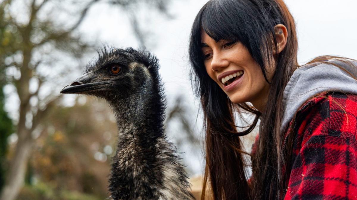 o cantareata a luat un somnifer intr o seara iar a doua zi a aflat ca si a comandat online o pasare emu acum ej e parte din familie