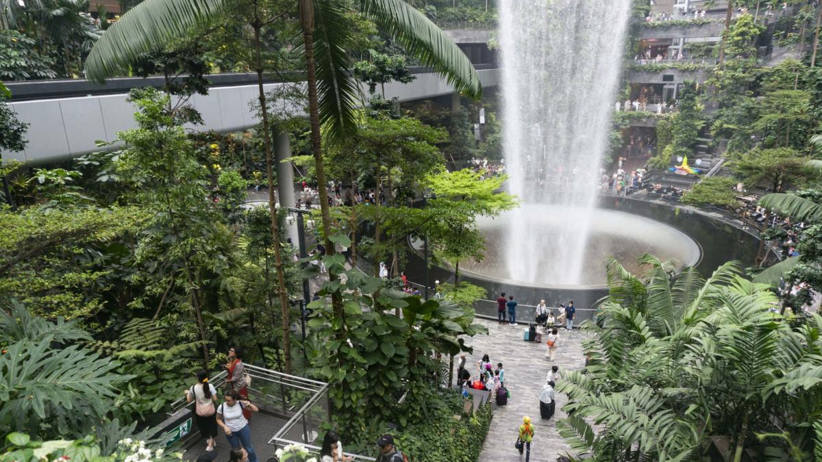 cea mai inalta cascada din lume este intr un aeroport cum arata minunea arhitecturala de 40 de metri numita vortexul ploii