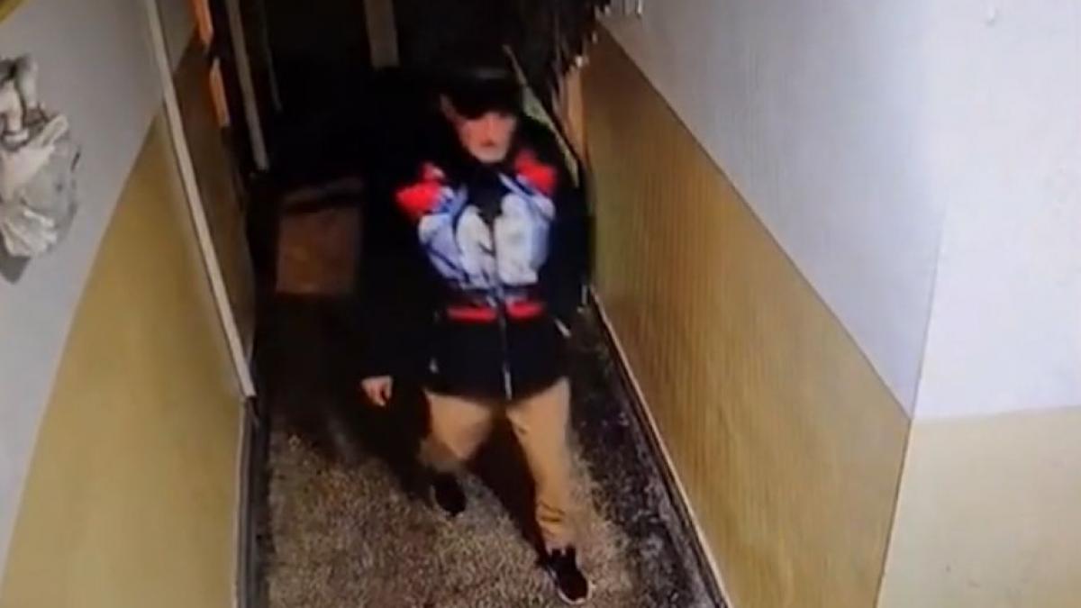 marturia cutremuratoare a sorei fetei de 13 ani agresata si talharita in lift a pus o in genunchi a ridicat mana s o loveasca