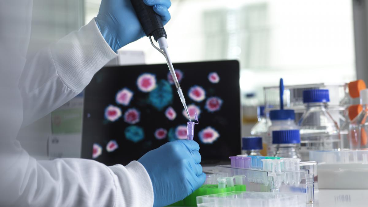 focar de hepatita a la granita romaniei destinatie turistica populara din transcarpatia sub restrictii antiepidemice