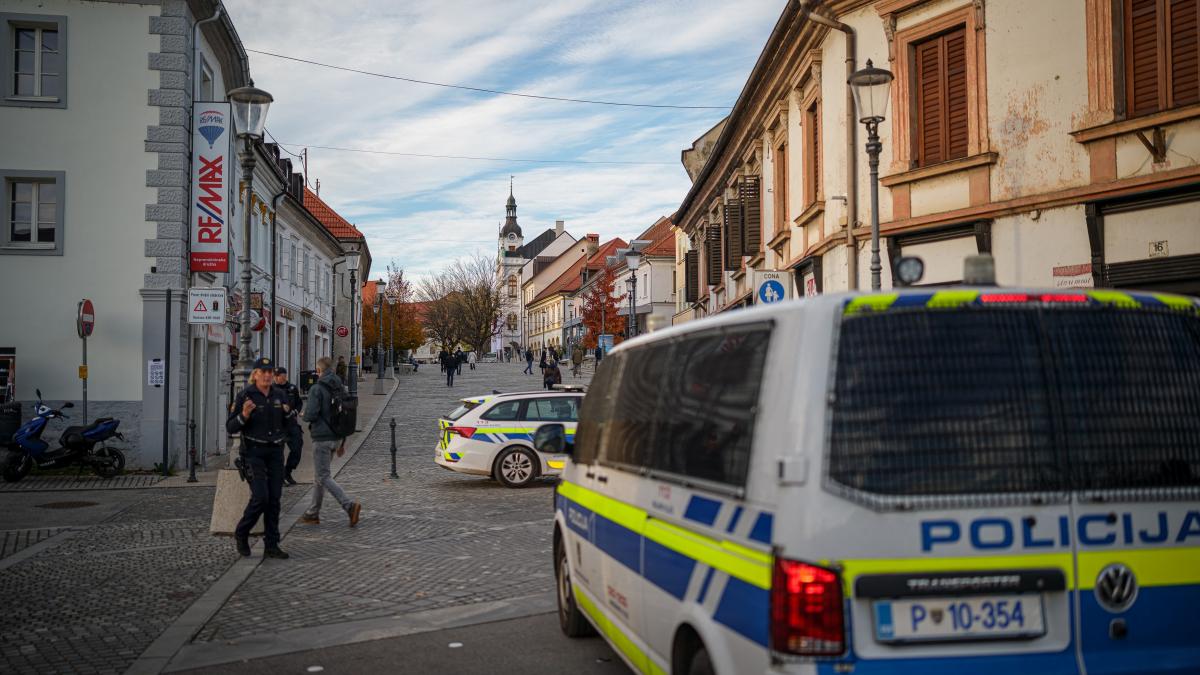 acuzatii de discriminare in slovenia dupa ce politia a primit puteri sporite in cartierele minoritatii rome ce prevede legea sutar