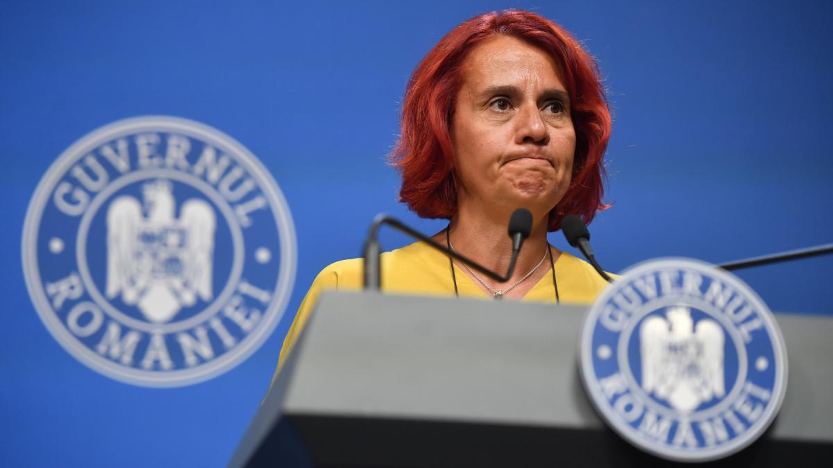 doua ong uri critica numirea ioanei dogioiu in conducerea radio romania si cer parlamentului sa respinga propunerea guvernului