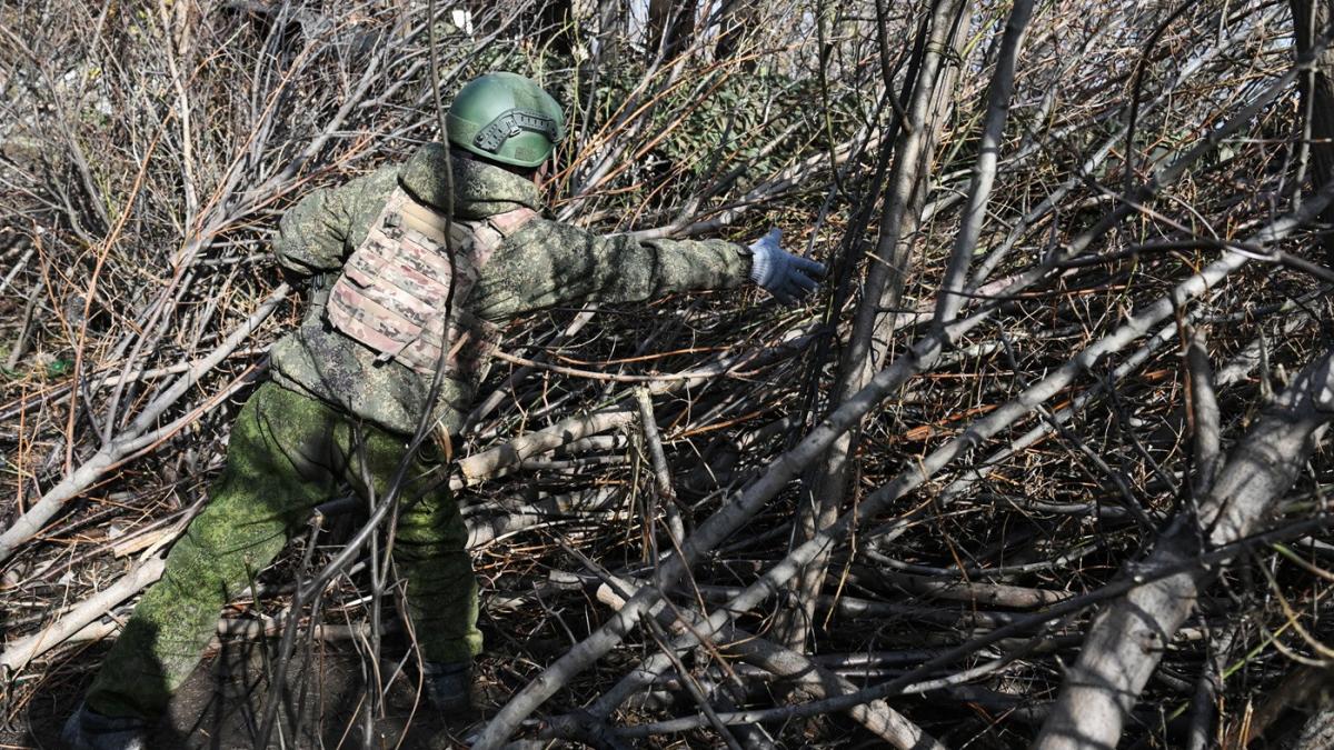 clima este victima a razboiului murdar al rusiei ucraina cere compensatii de 43 de miliarde de dolari pentru carbonul de conflict