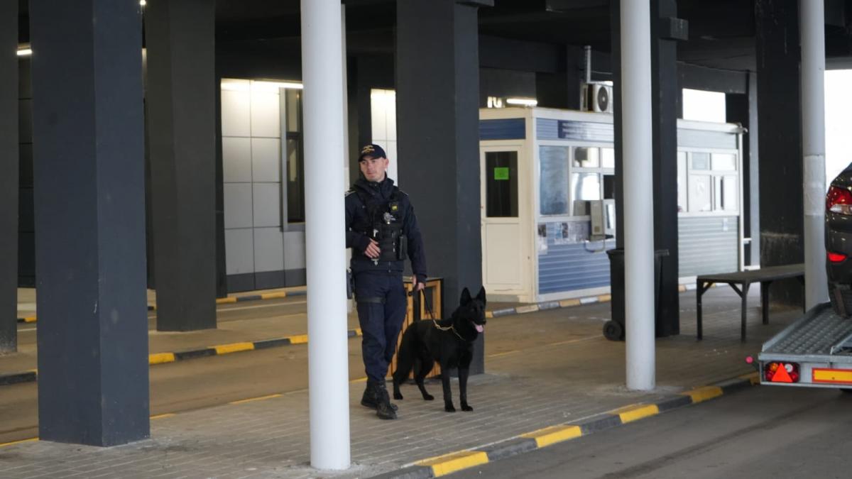 alerta la granita un camion care ar fi plin cu armament a fost oprit la vama albita surse urma sa ajunga in israel