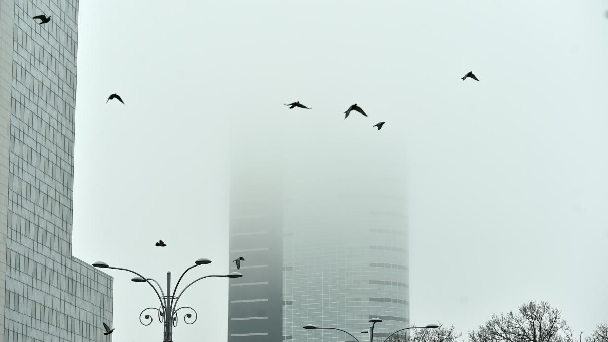 avertizari nowcasting de la anm este cod galben de ceata in jumatate de tara se circula dificil pe autostrazi inclusiv a2 si a3