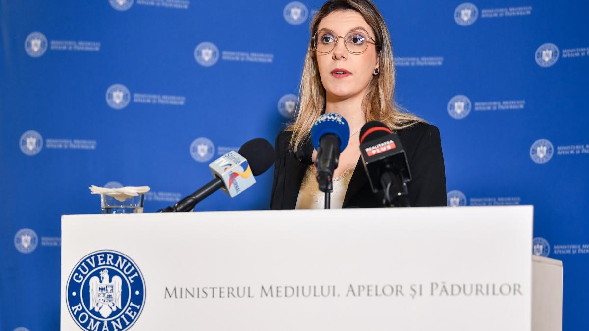 buzoianu incercam sa identificam ambalaje noi pentru reciclare care sa necesite putine modificari de soft ale rvm urilor