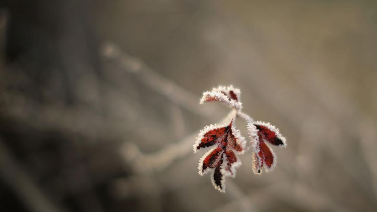 decembrie incepe cu vreme mai calda decat cea specifica perioadei prognoza meteo pana la craciun