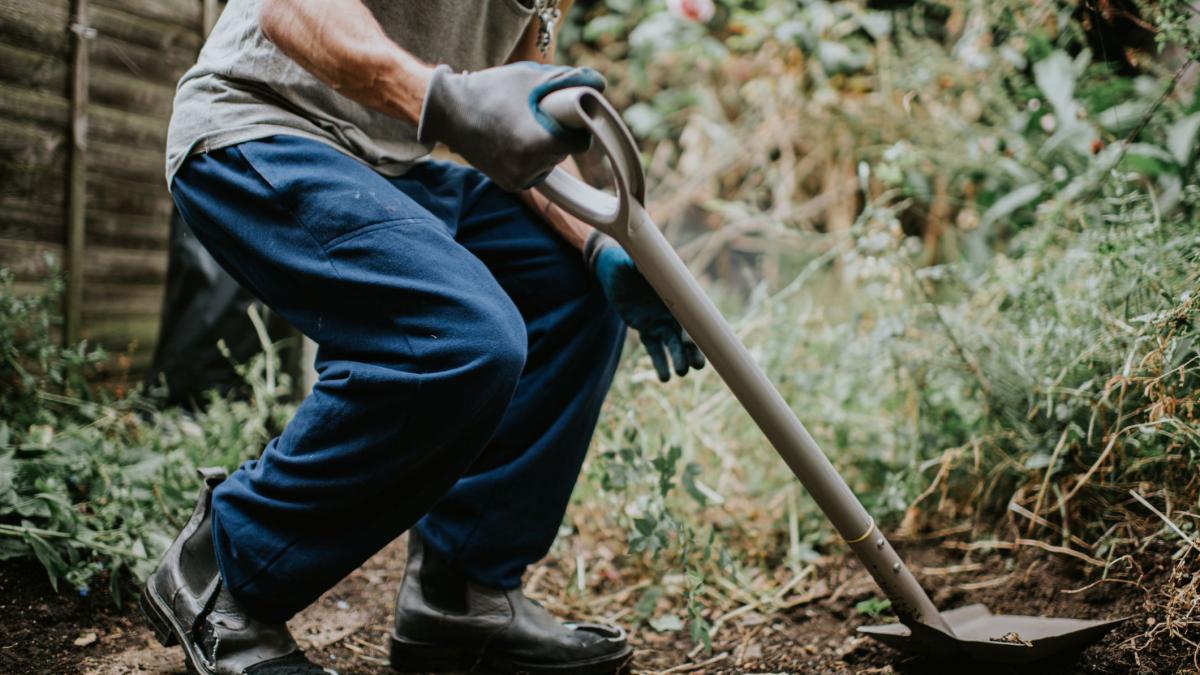 un barbat a ingropat in curtea casei peste 1 milion de dolari dupa 16 ani de procese a aflat ca nu i poate pastra