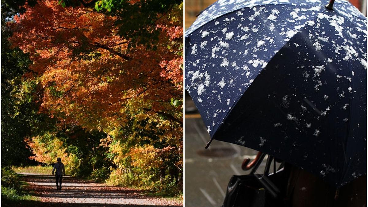 temperaturi la extreme in toata tara caldura de vara in sud frig de iarna in nord