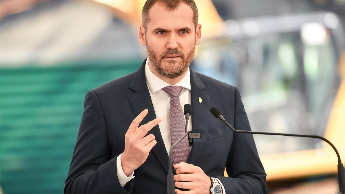 administratorul public al capitalei amenzi de 245 000 de lei pentru taieri ilegale de arbori pe bd nicolae grigorescu din sectorul 3