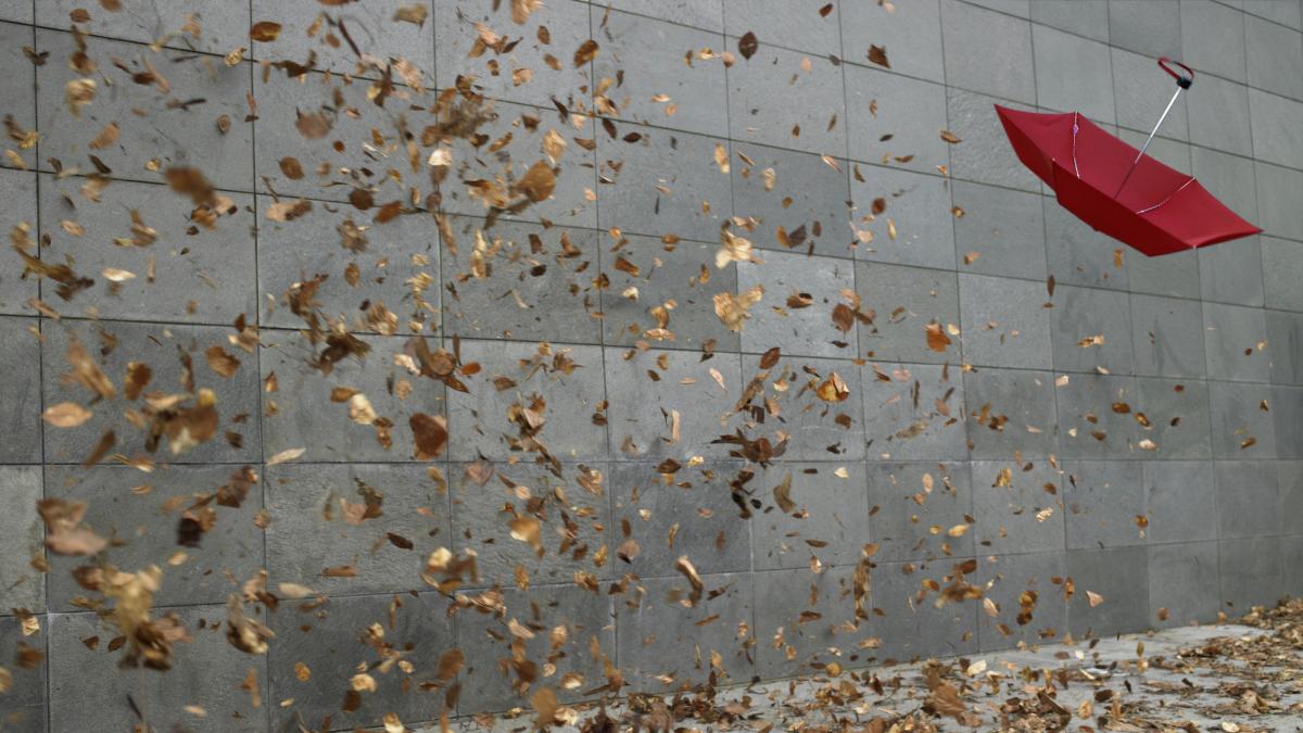 cod galben de vant puternic in mai multe judete din tara rafalele de vant vor atinge pana la 110 kilometri pe ora