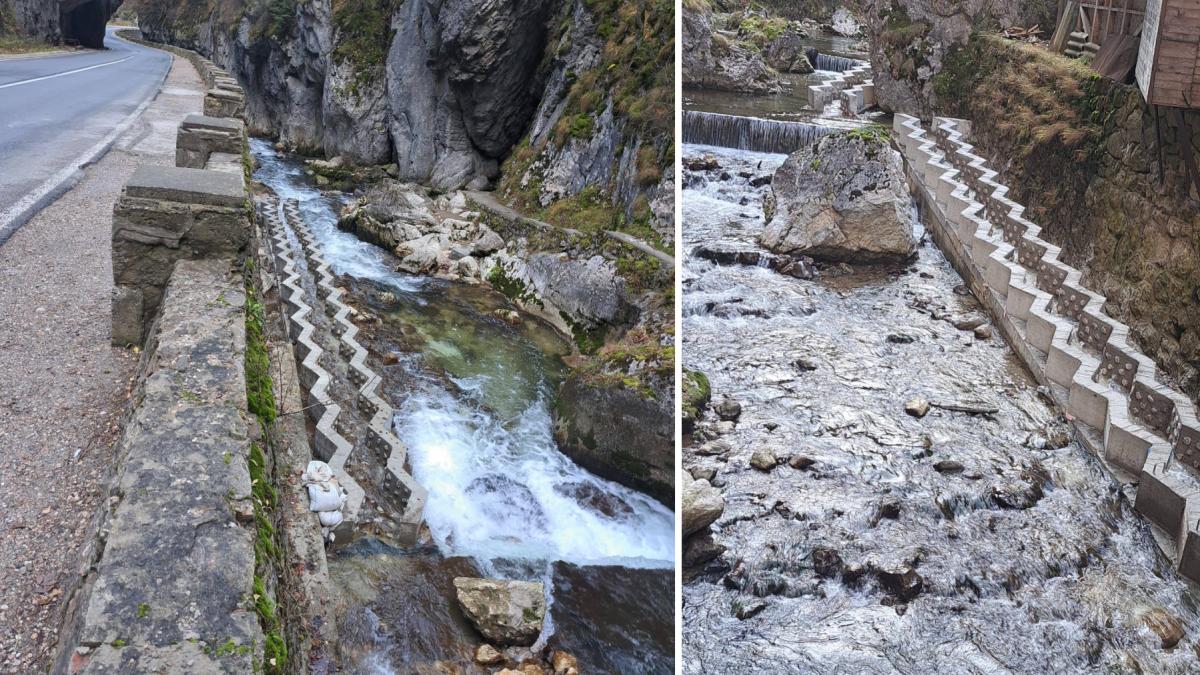 pestii au acum scari pe raul bicaz sistemul a fost testat si functioneaza speciile care nu sar ca pastravul pot sa urce in amonte