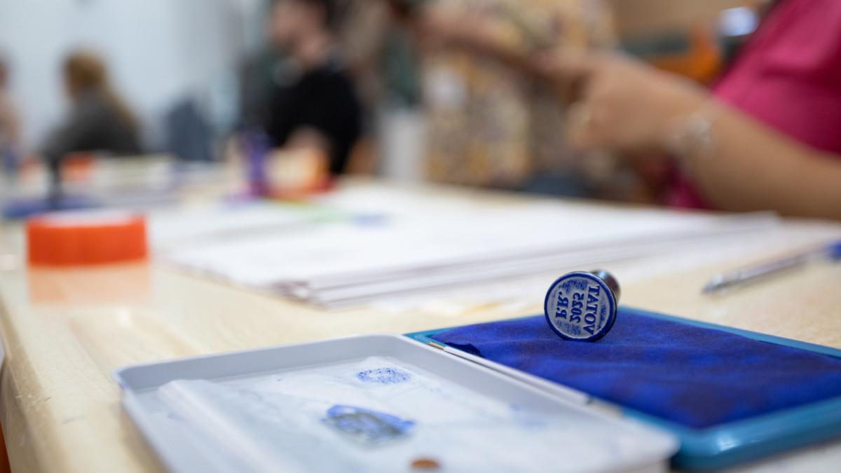 Cum va arăta buletinul de vot la alegerile din București. Opt candidați pe fiecare pagină, un independent e singur pe foaie