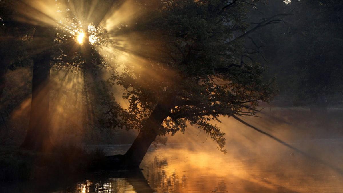 cum va fi vremea in minivacanta de 1 decembrie sefa anm de miercuri scad temperaturile