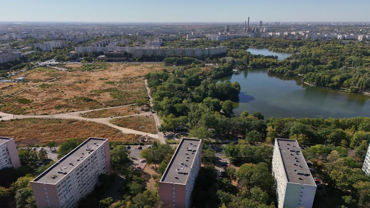 politia a oprit din nou taierea copacilor de pe terenul retrocedat din ior politistii locali stateau si se uitau