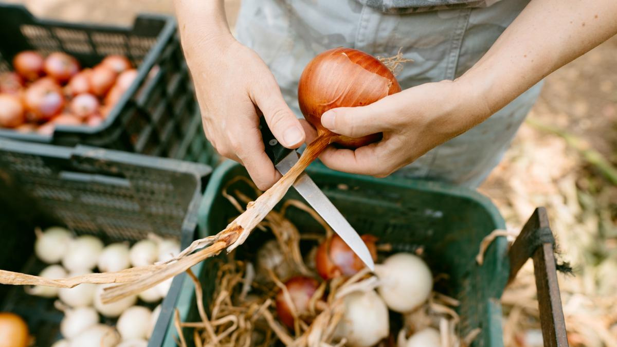 legumele s ar putea scumpi masiv dupa 1 ianuarie fermierii loviti de noile taxe va fi foarte rau