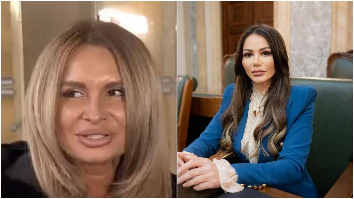 senatoarea pot si femeia care a batut o la instanta doamne fereste sotia e si atat m a denigrat in scandalul cu videochat ul