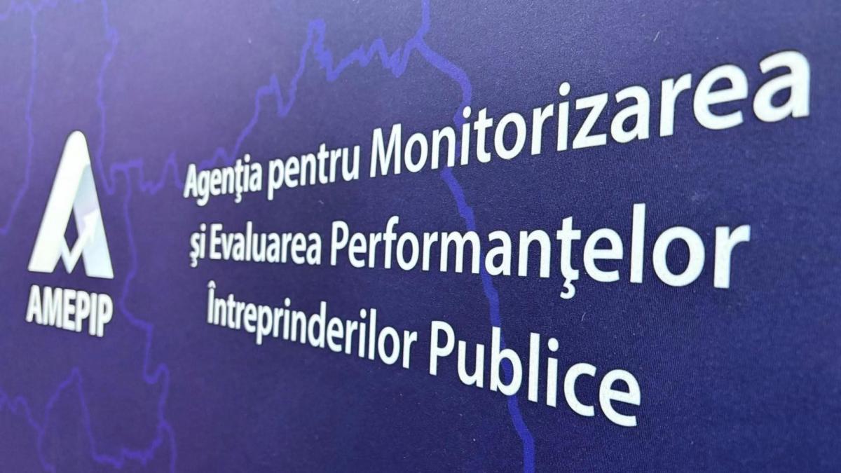 mega agentia amepip care monitorizeaza companiile de stat are o noua conducere cine este anisoara ulceluse