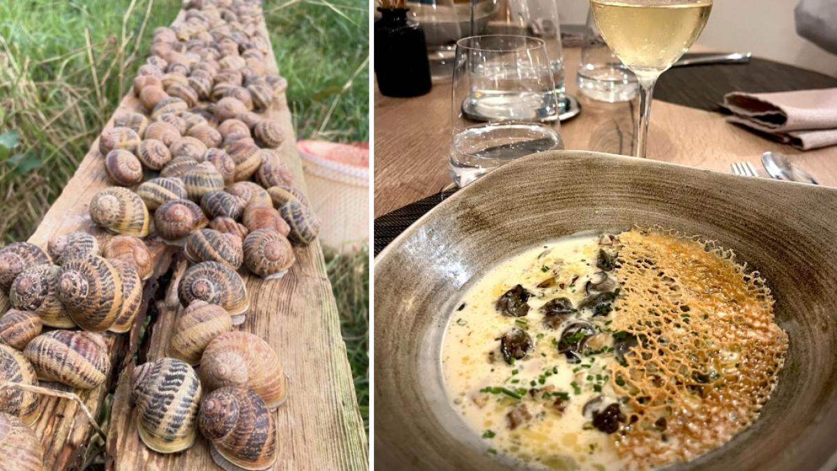 melci de peste 100 000 de dolari au fost furati de la un crescator francez care are clienti cu stele michelin