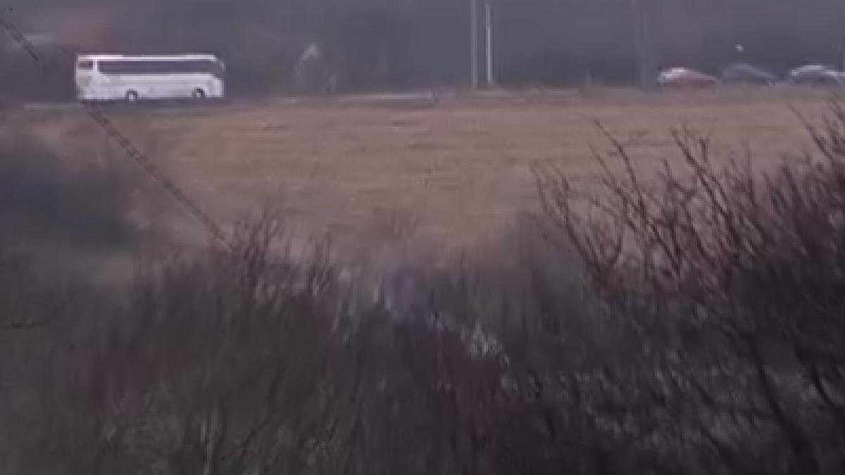 s au format cozi kilometrice pentru canonizarea lui arsenie boca 15 000 de pelerini ajung azi la manastirea prislop