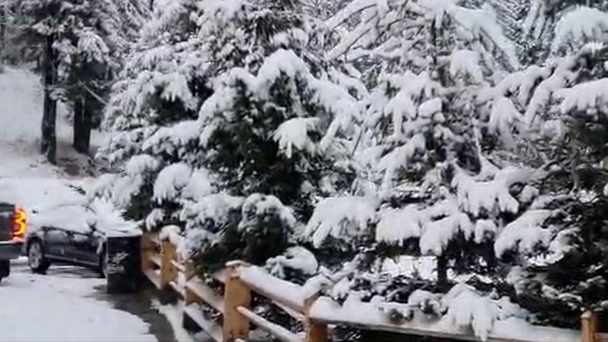 imagini din statiunea straja unde ninge si stratul de zapada a ajuns la 10 centimetri