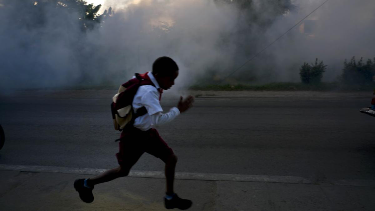 o epidemie a ucis deja zeci de copii iar tantarii continua sa raspandeasca virusurile in cuba bilantul total al victimelor