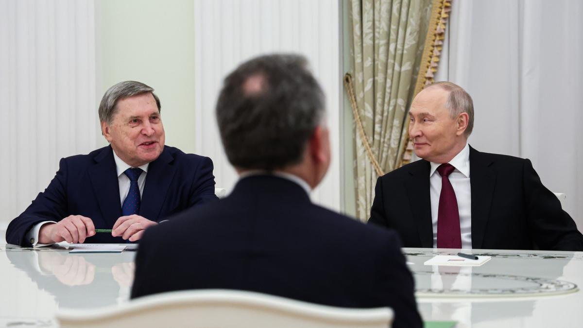 steve witkoff si ginerele lui trump se intalnesc cu putin zelenski anunta ce trebuie sa i fie impus lui rusiei