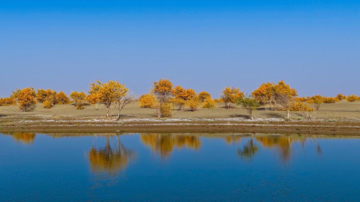 china a plantat atat de multi copaci incat a schimbat intreaga distributie a apei in tara