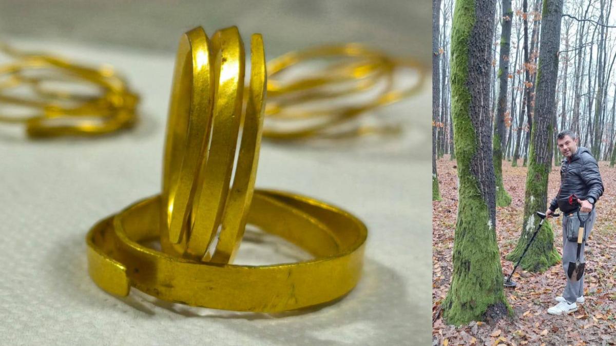 descoperire arheologica de tezaur total intamplatoare in romania un detectorist a gasit 4 bratari tracice de aur in jurul unui copac